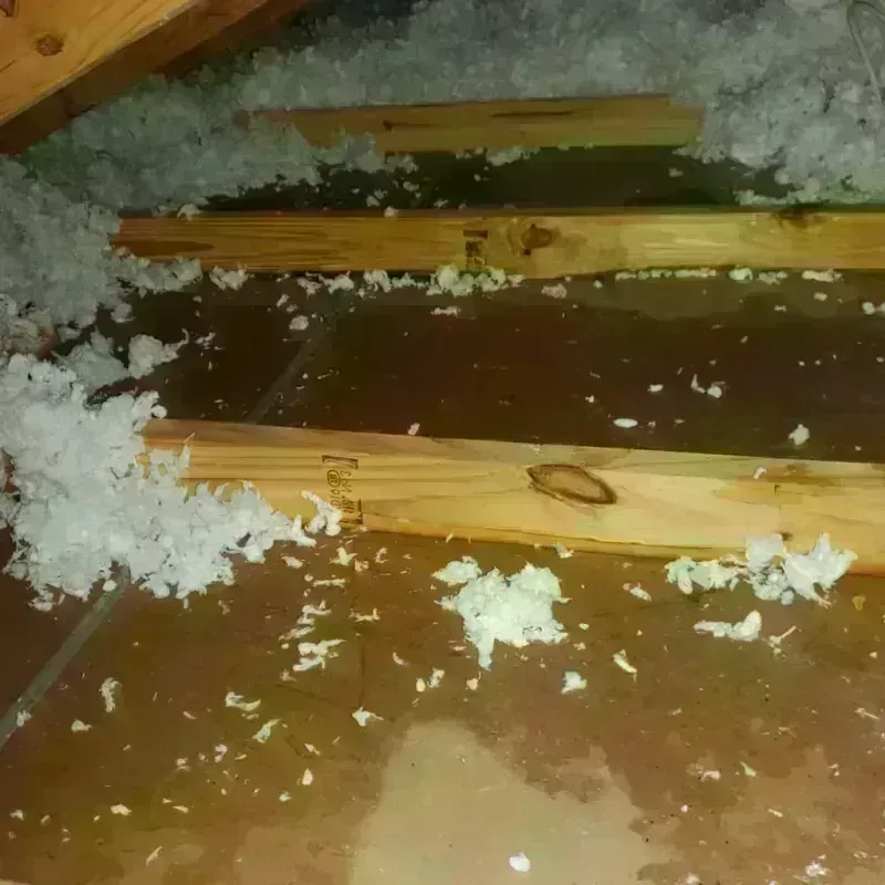 Attic Water Damage in Ridgway, PA